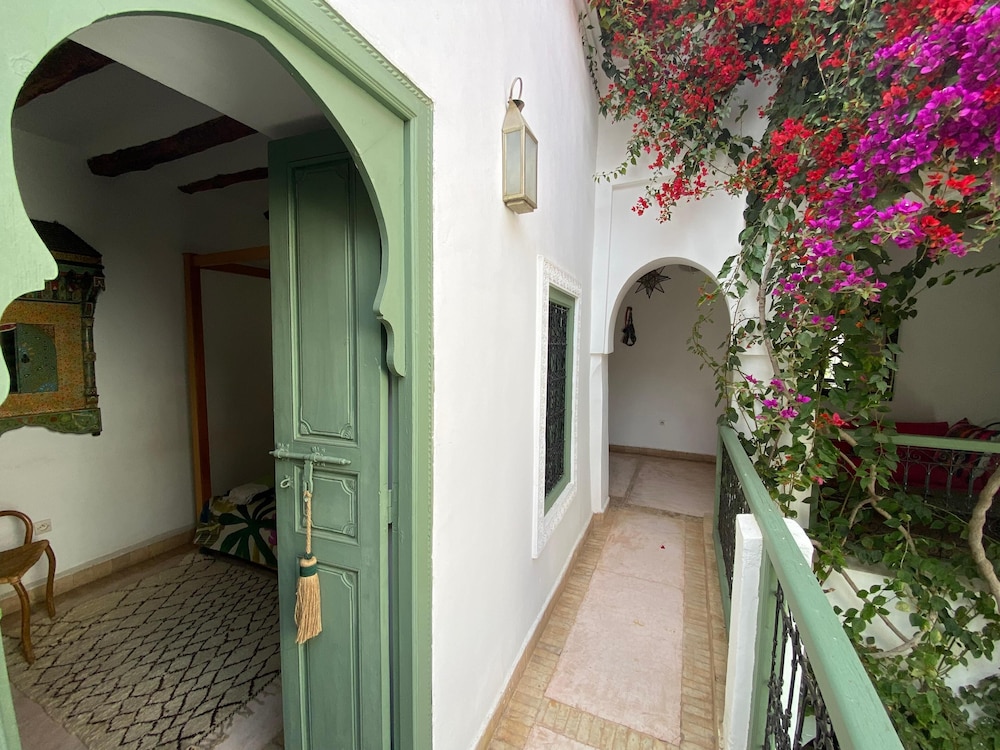 Riad Timila 3/50