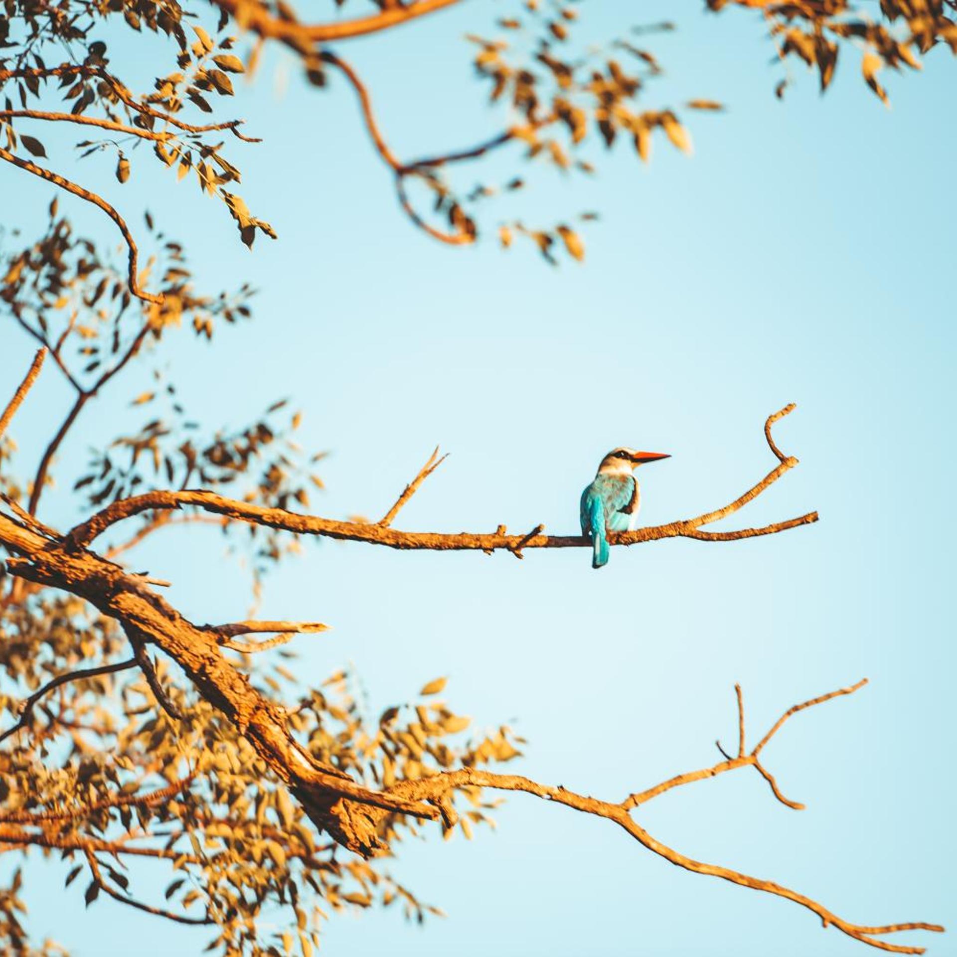 Maroelani Private Nature Reserve 45/50