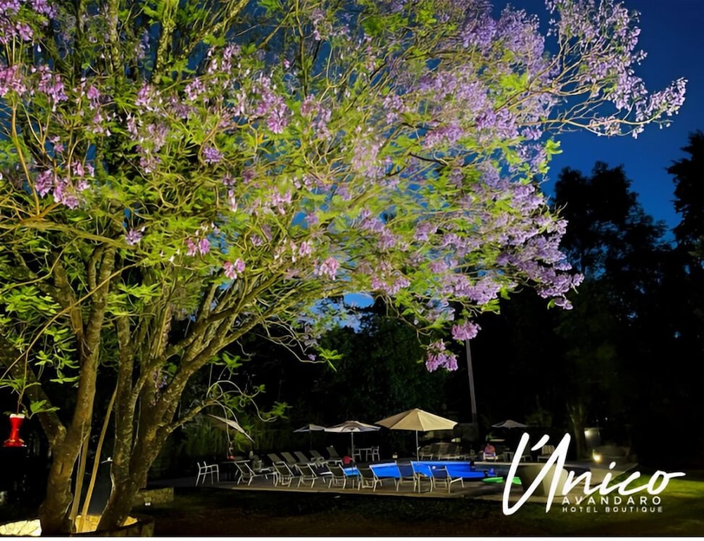 Hotel Boutique Unico Avandaro 46/50