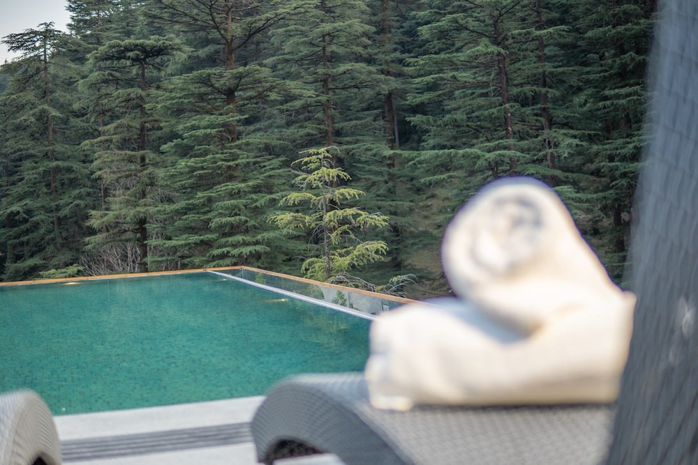 Mastiff Select Mandavya Dharamkot, McLeodganj 38/61