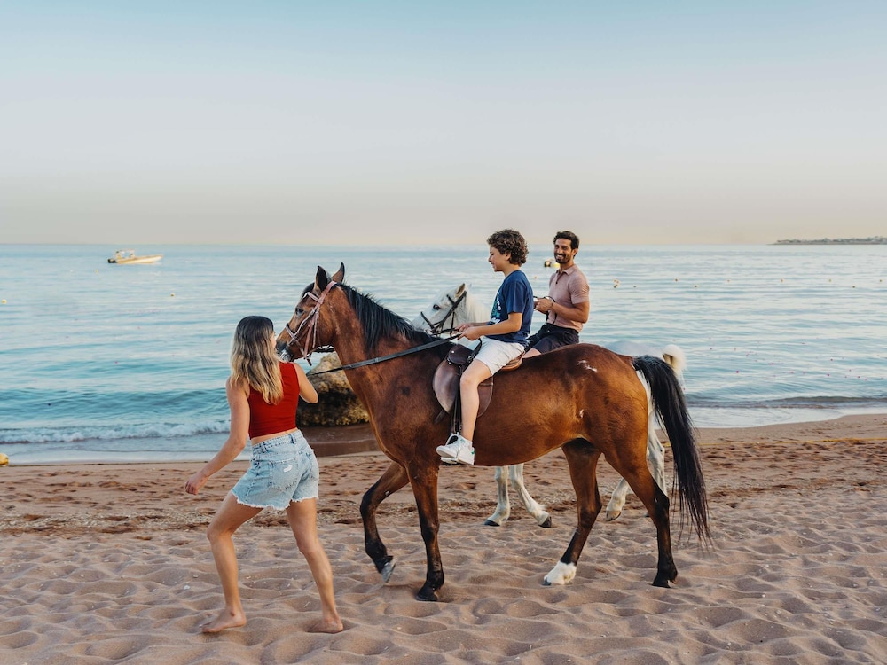 Movenpick Resort Sharm El Sheik Naama Bay 80/82
