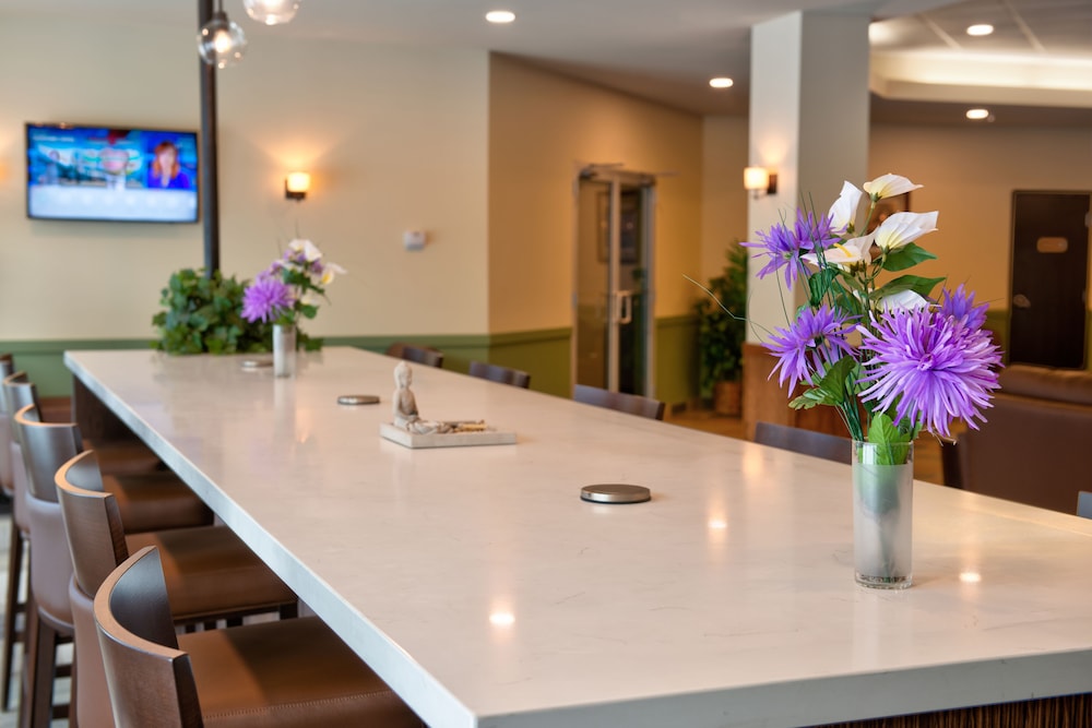 Clearwater Suite Hotel 40/41