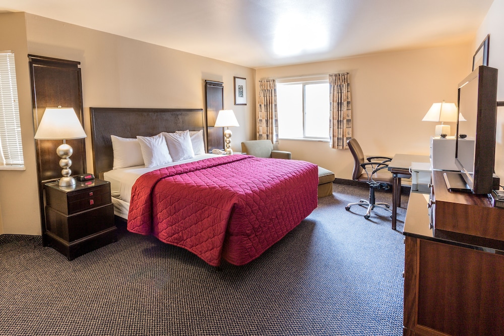 Cedars Inn 29/52