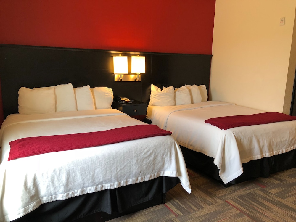 Black Gold Suites Tioga 5/21
