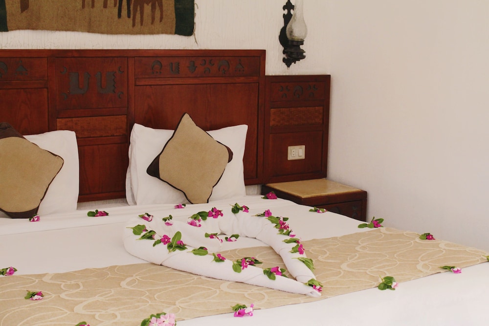 Sharm Inn Amarein 15/44