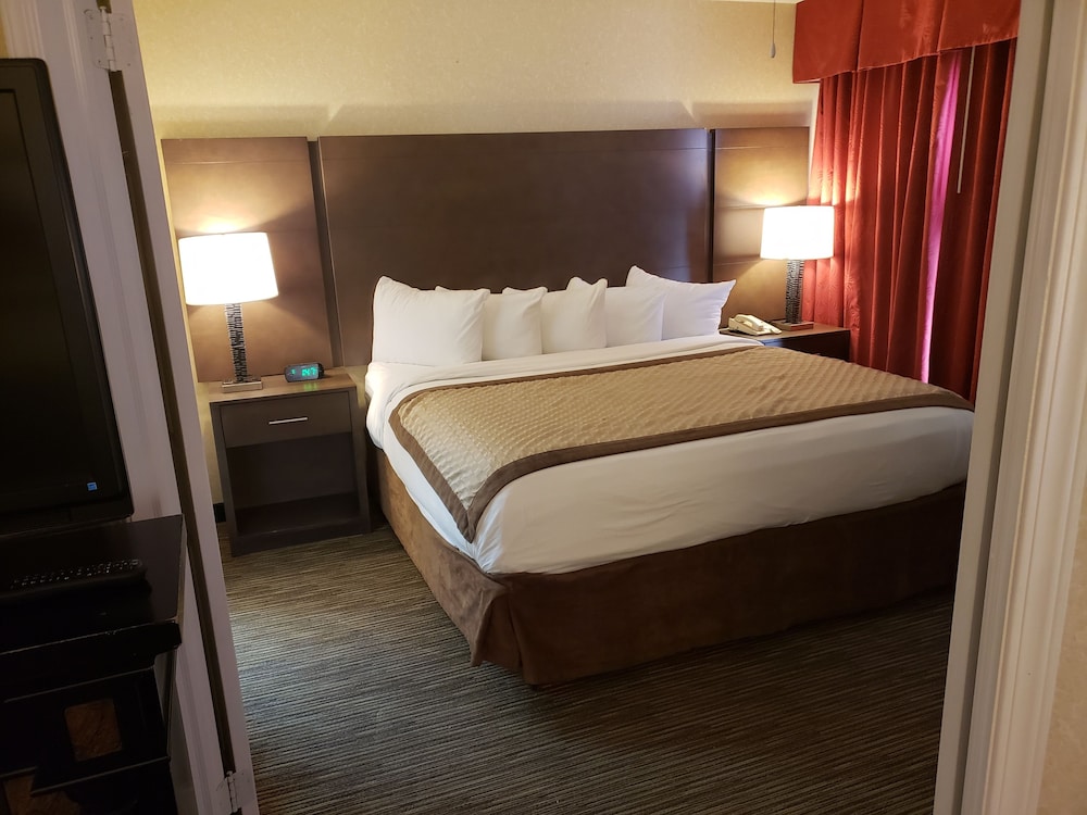 1 Bedroom, Master, Suite, King Bed, Sofa