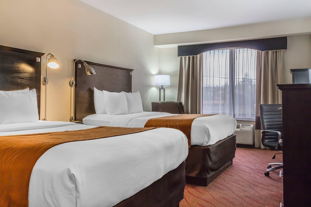 Comfort Inn & Suites LaGuardia Airport 14/64