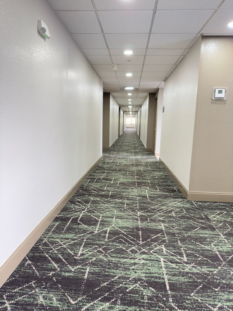 Super 8 by Wyndham Dallas Love Field Airport 44/60