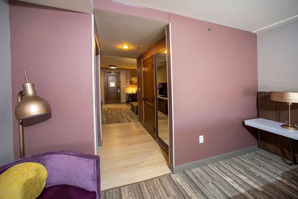 Hilton Garden Inn Rapid City 25/50
