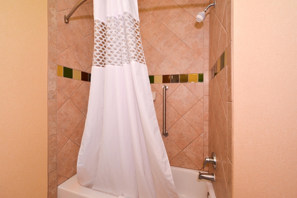 Hampton Inn Suites Greenville 20/44