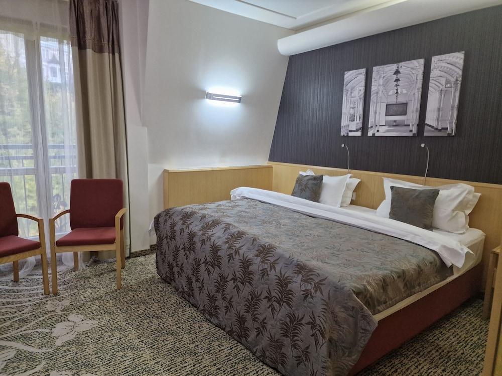Spa Hotel Iris 18/56