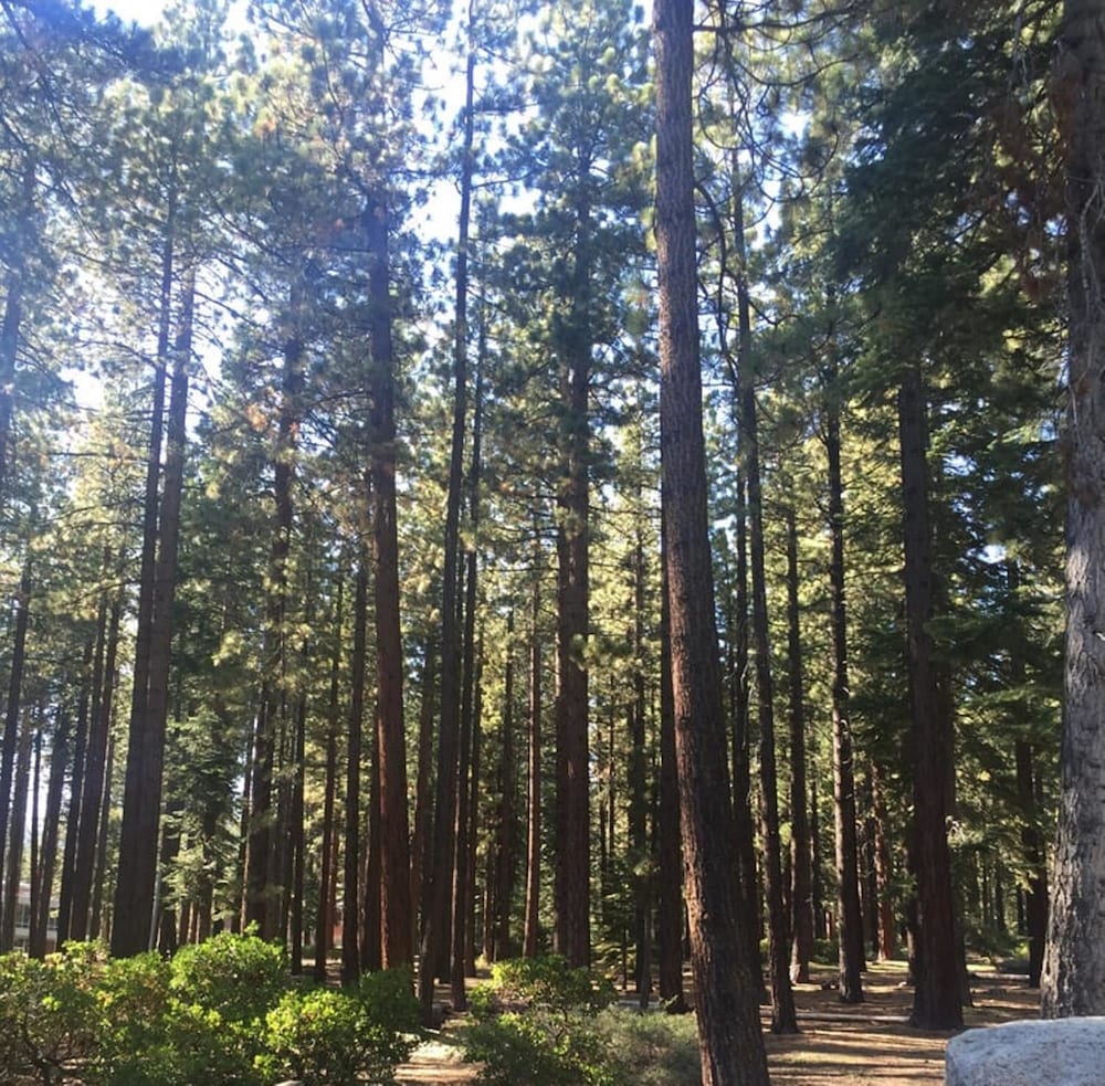 Club Tahoe 55/56