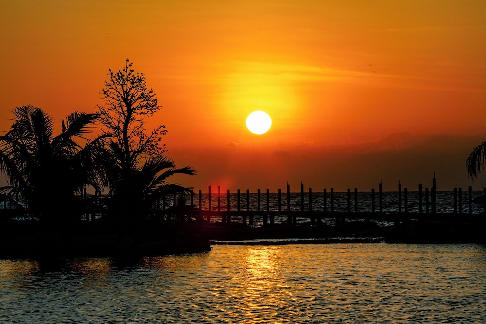 Mango Beach Resort 43/50