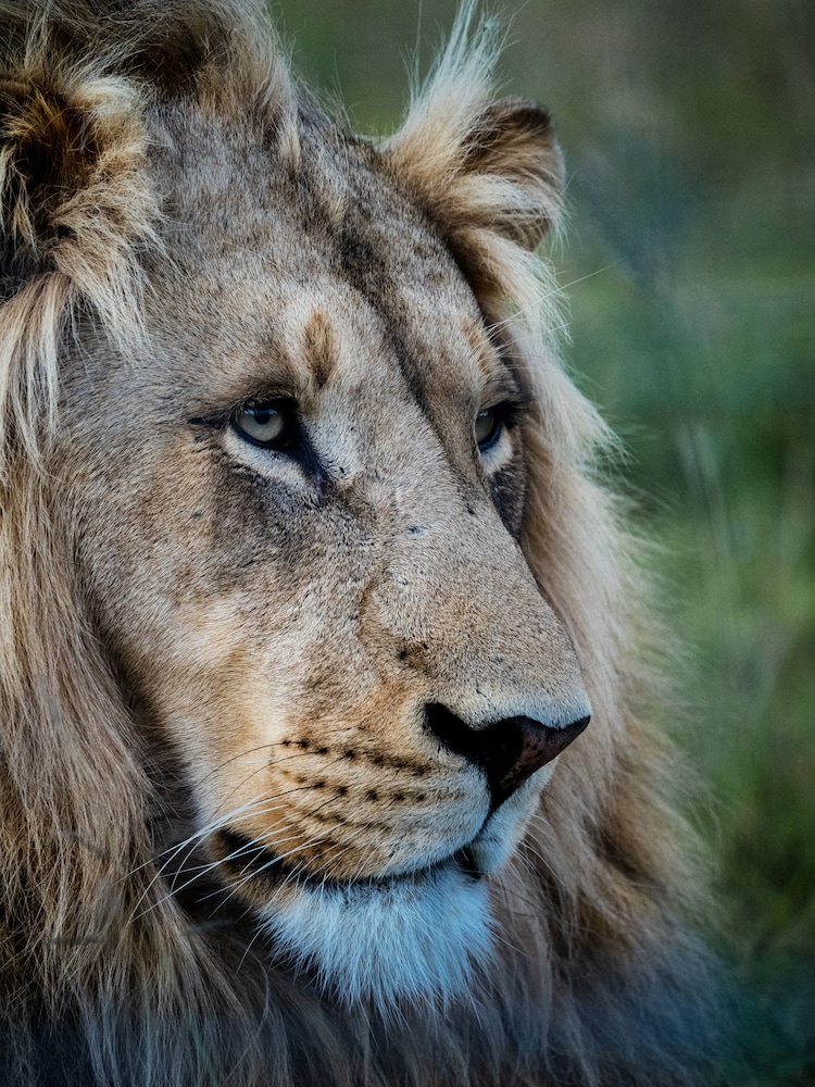 Garden Route Safari Camp 48/50