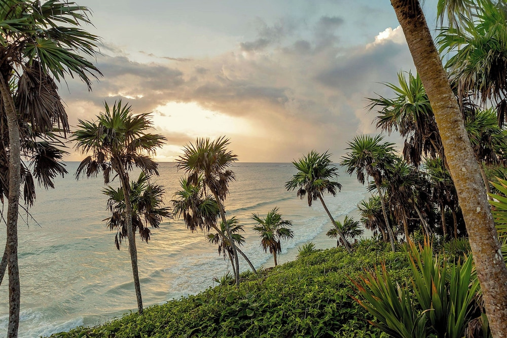 Bloom Tulum Apartments by Marriott 89/94