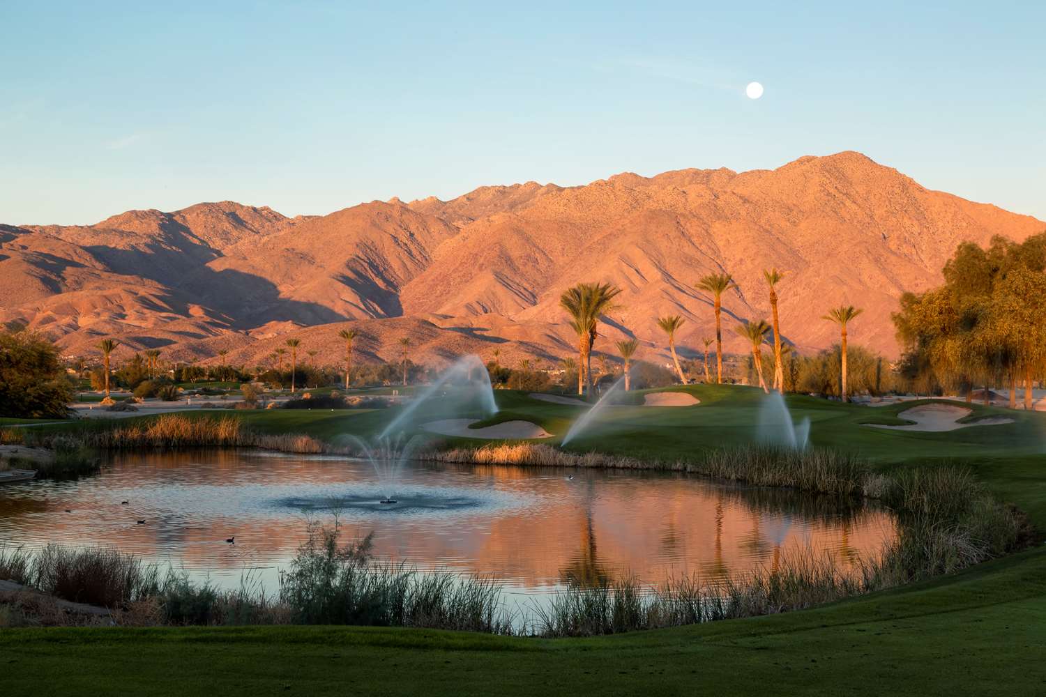 Borrego Springs Resort Golf Club And Spa 38/44