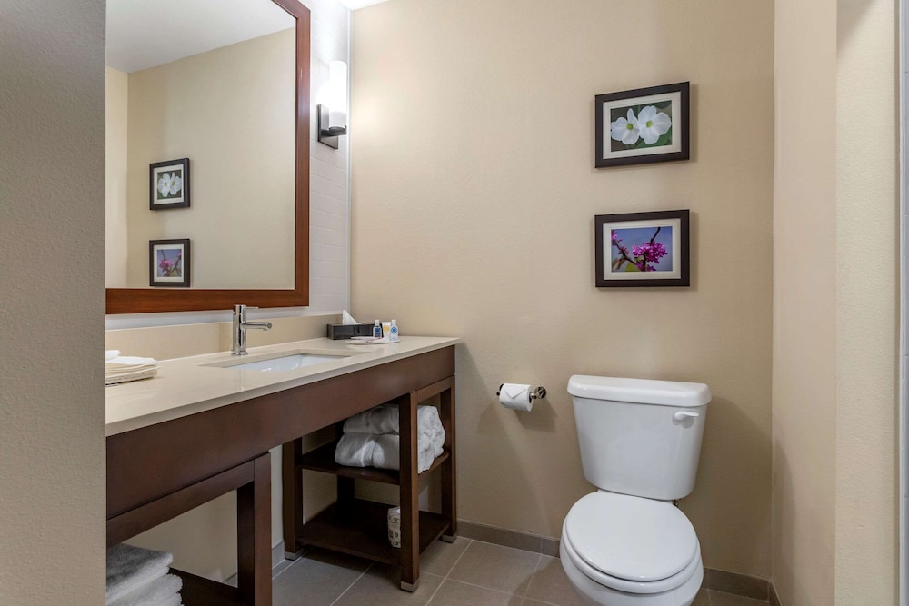 Comfort Inn & Suites Waller TX 36/36