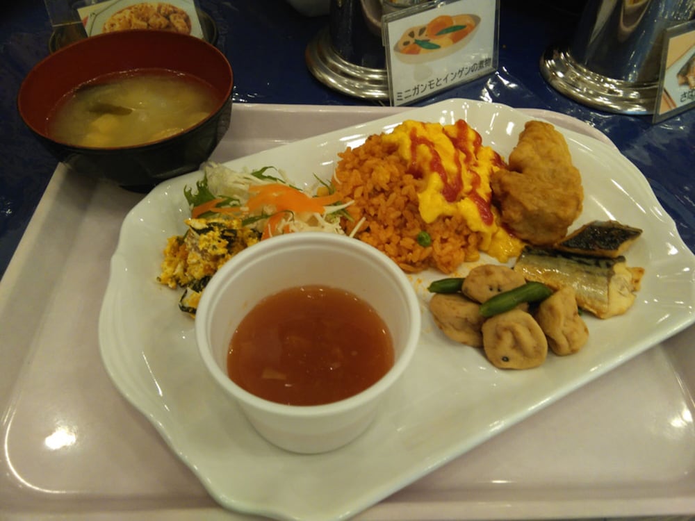 Toyoko Inn Hokkaido Tomakomai Ekimae 40/61