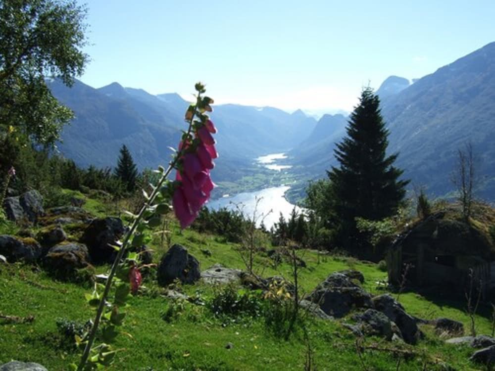Stryn 30/35