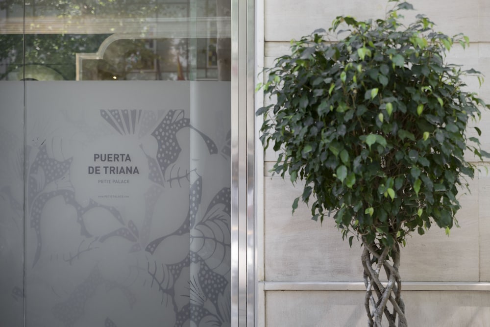 Petit Palace Puerta de Triana 4/50