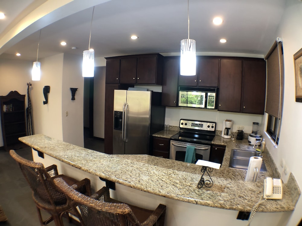 Monte Carlo Luxury Condominiums 39/50