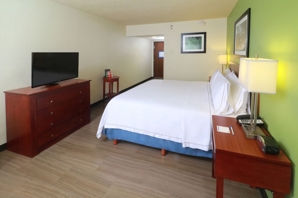 Holiday Inn Express Guadalajara Aeropuerto an IHG Hotel 28/58