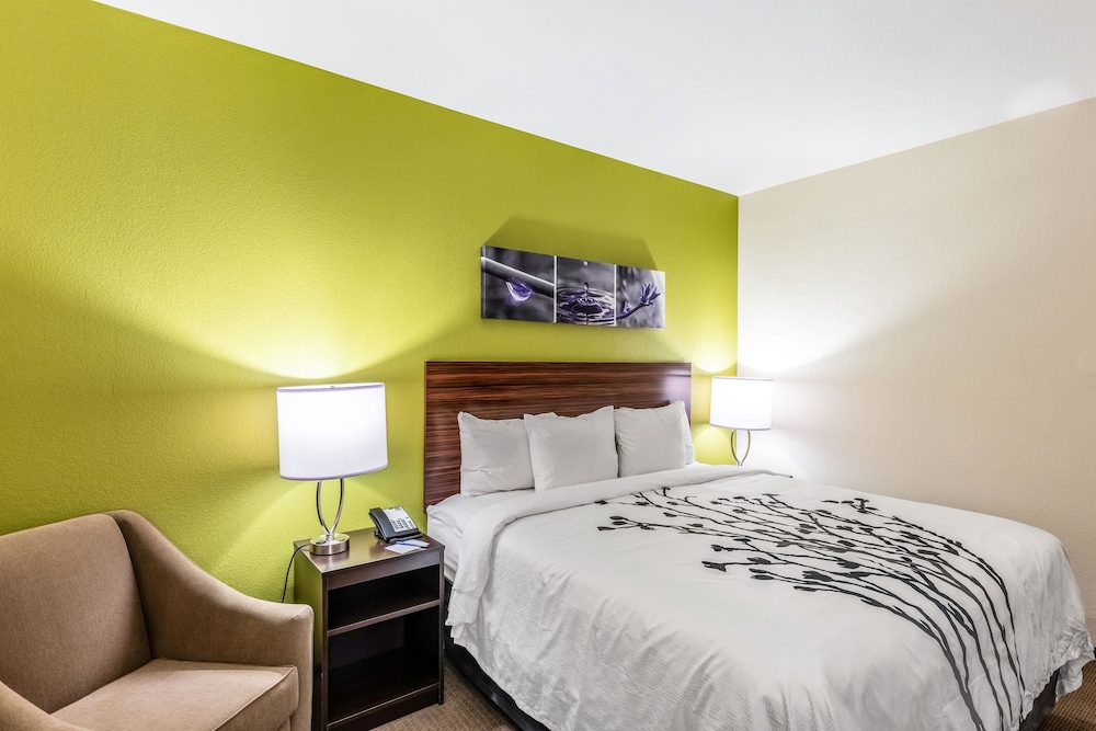 ROOM, KING BED, ACCESSIBLE
