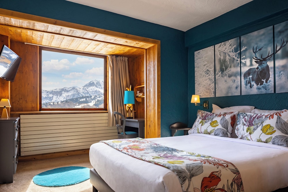 Hotel Courcheneige 6/50