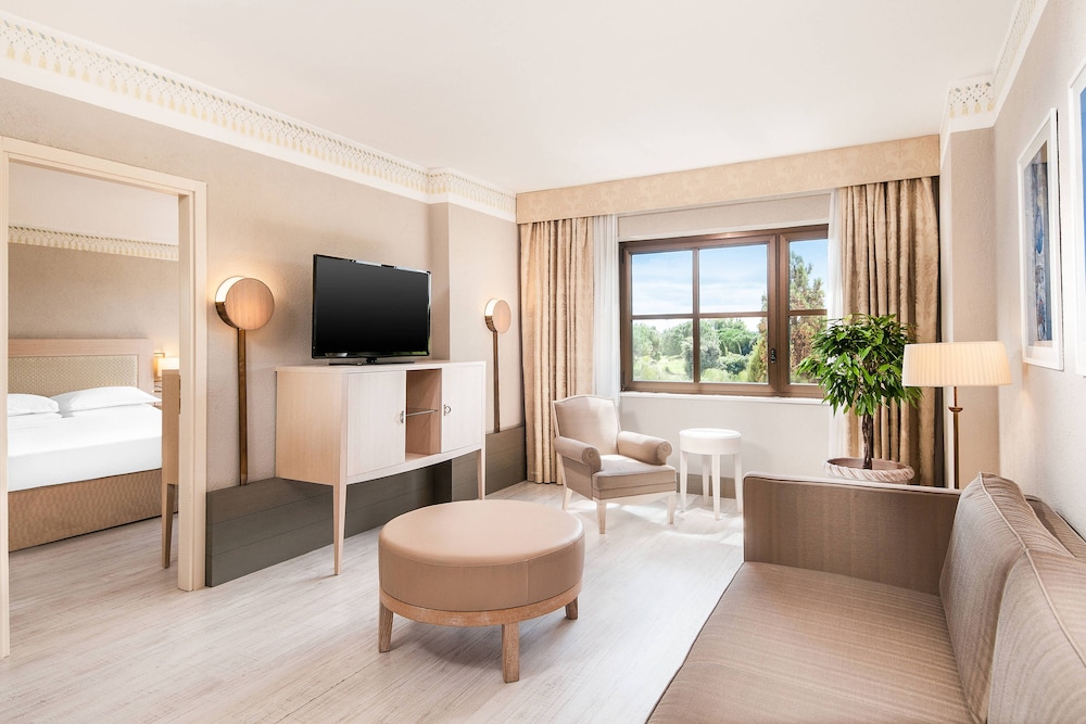 Sheraton Parco De Medici Rome Hotel 30/66