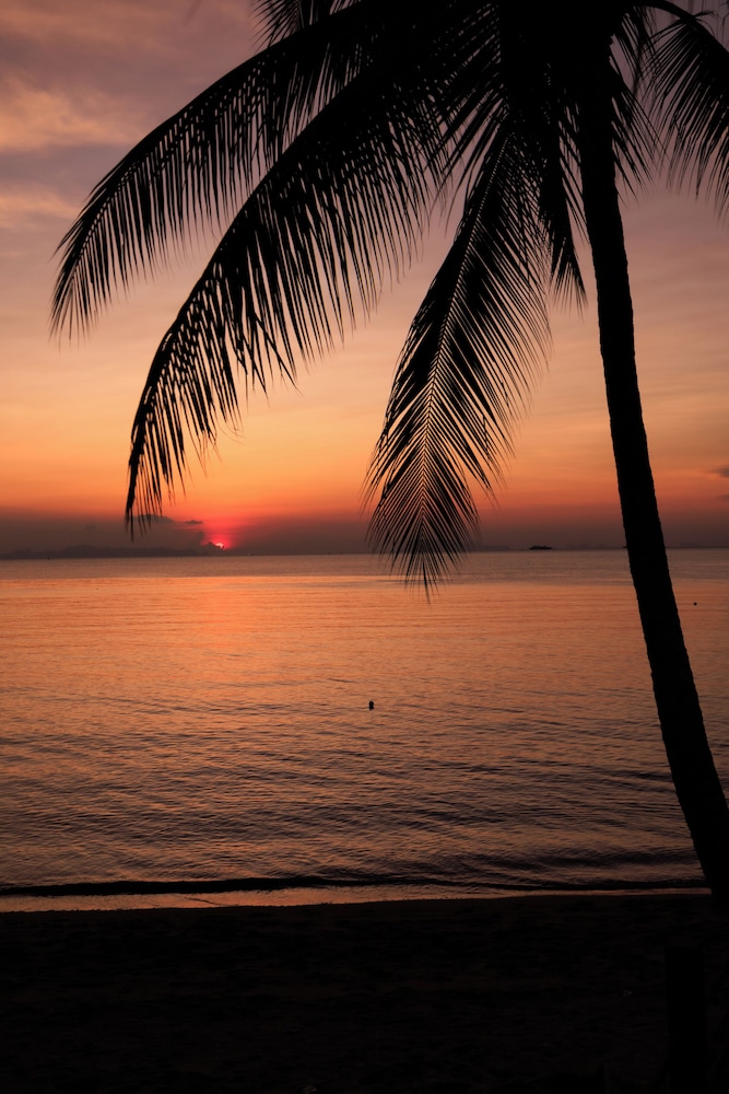 Nikki Beach Resort & Spa Koh Samui 62/68