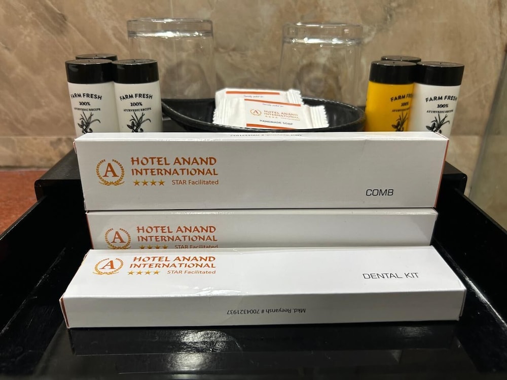 Hotel Anand International 21/46