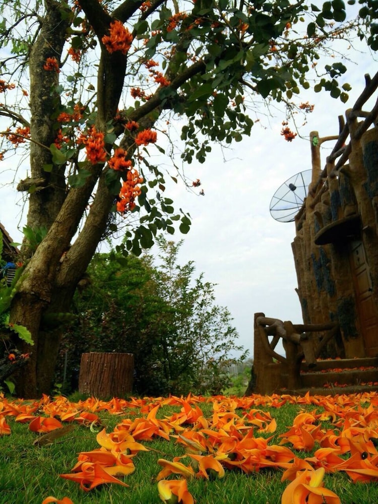 Timberland And Fruit Resort 46/50