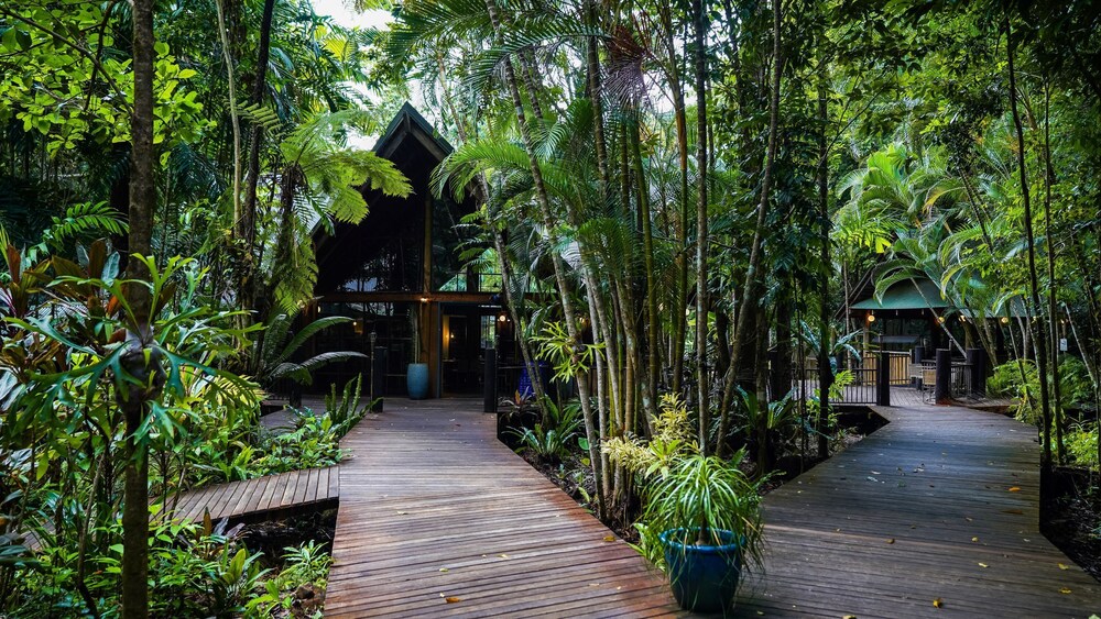 Ferntree Rainforest Lodge 34/46