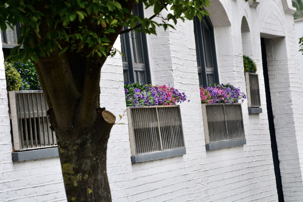 Sanctum International Serviced Apartments Belsize 69/71