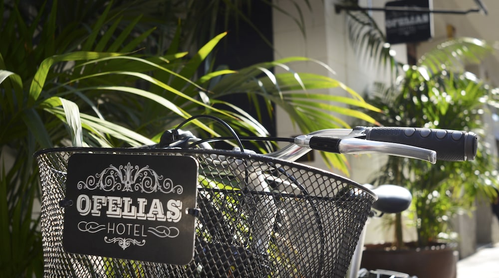 Ofelias Hotel 30/56