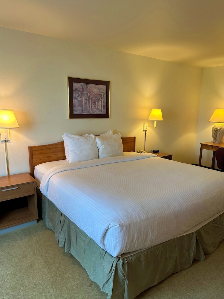 Peppermill Empress Inn 19/65