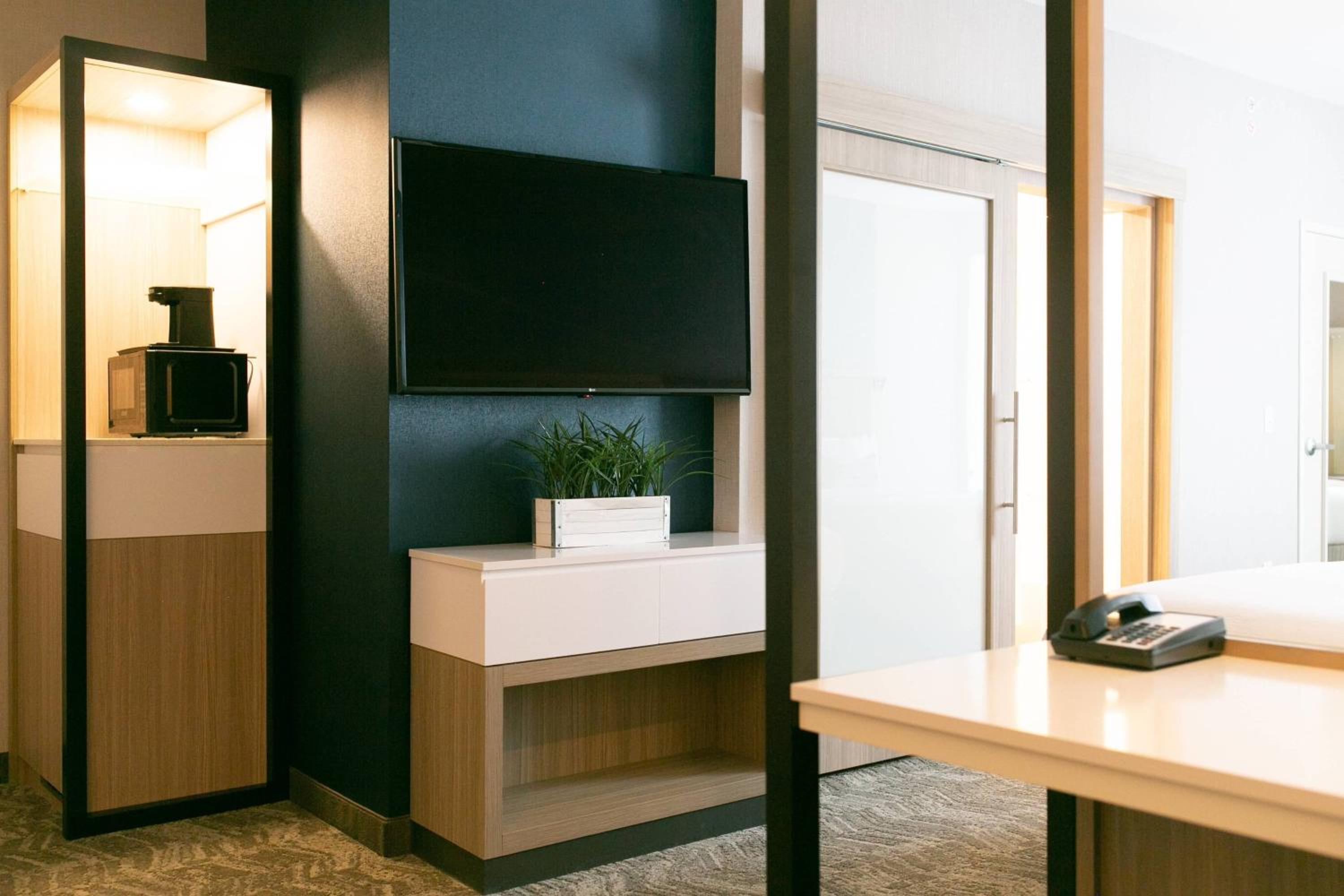 جناح بسرير كوين مع أريكة بحوض استحمام لذوي الإعاقة، SpringHill Suites by Marriott South Bend Notre Dame Area 7/7