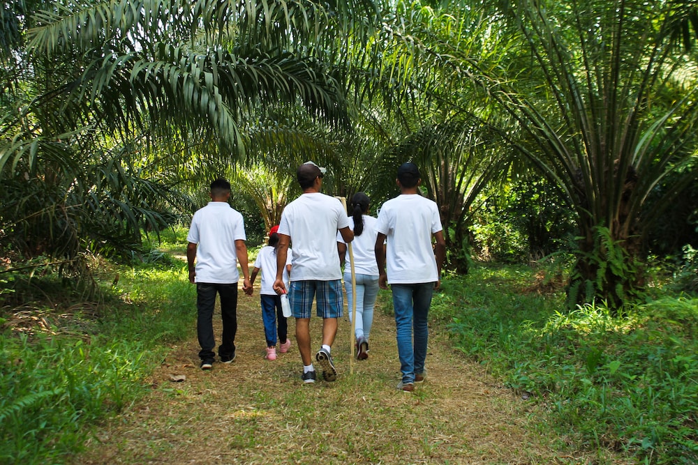 Corinto Pearl Eco Resort 16/53