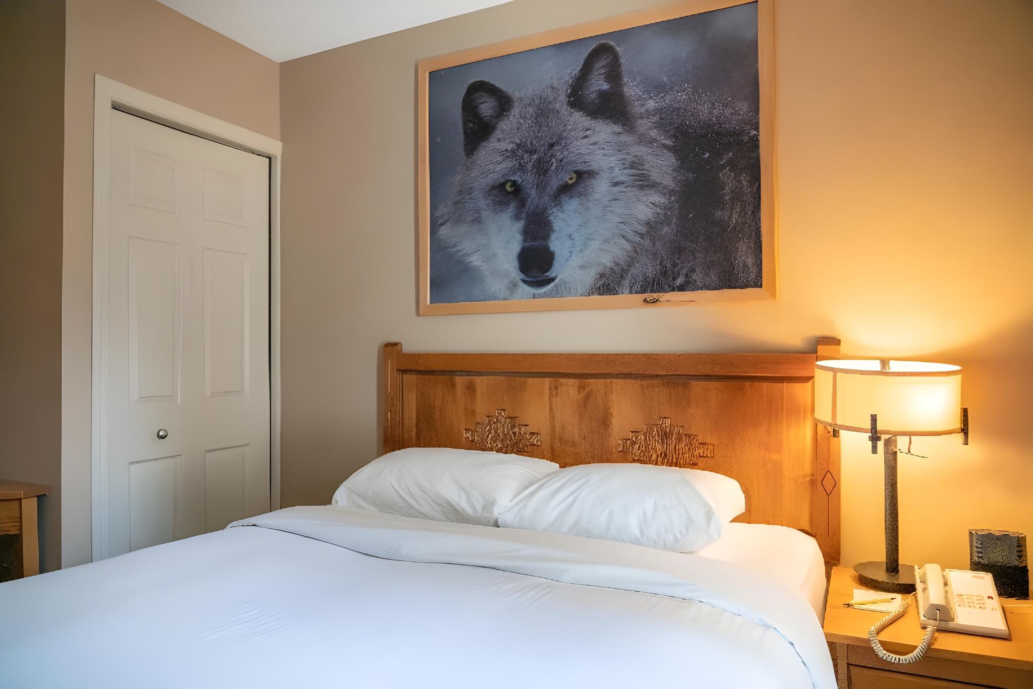 1 Bedroom, Condo, Suite, Queen Bed