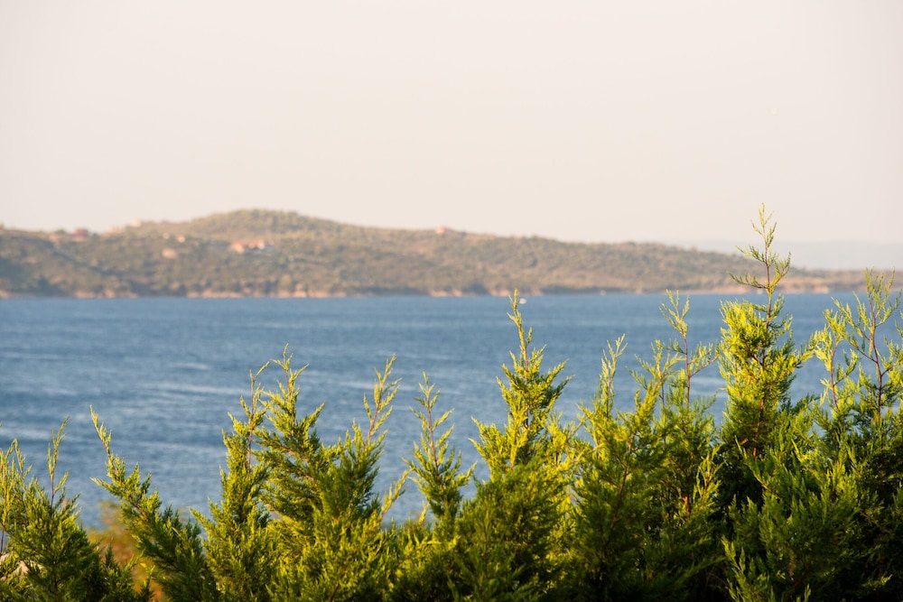 Alexandros Palace Hotel and Suites 80/83
