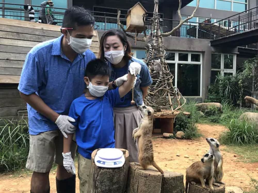 Leofoo Resort Guanshi 25/66
