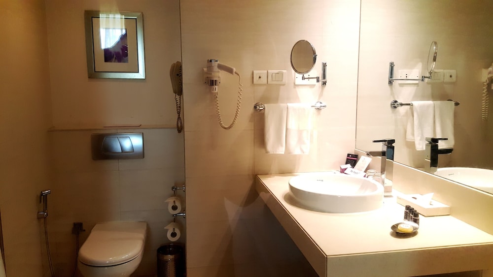 Royal Orchid Central Pune 9/35