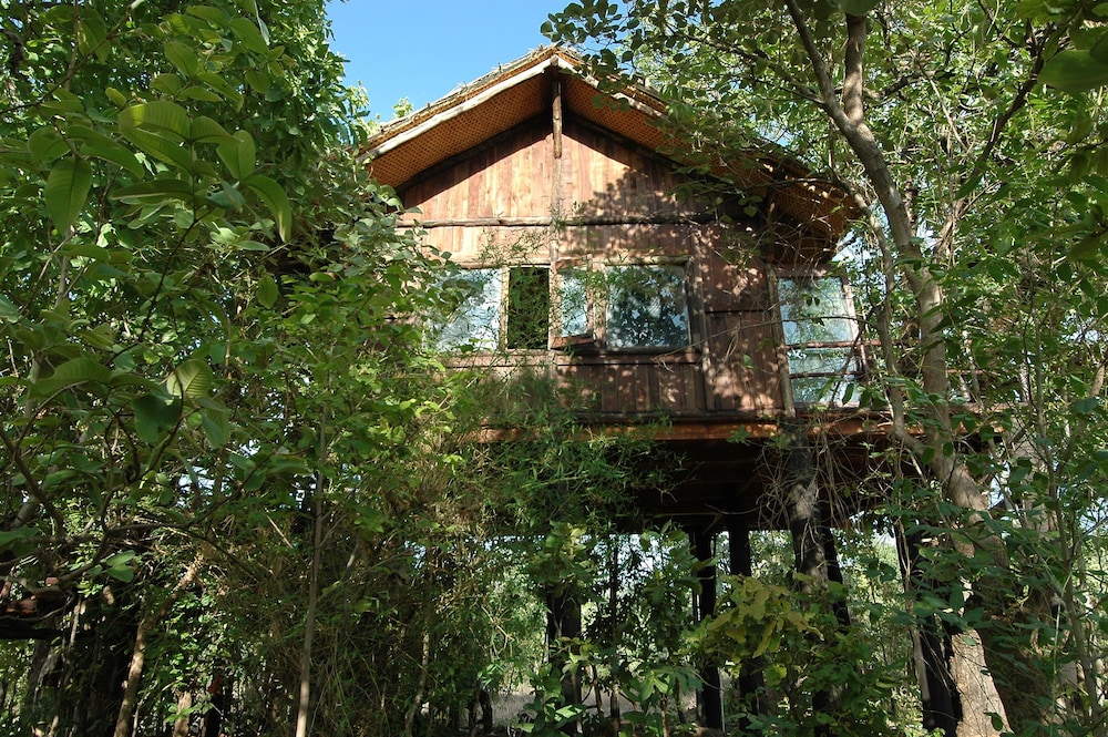 TREE HOUSE HIDEAWAY 48/50