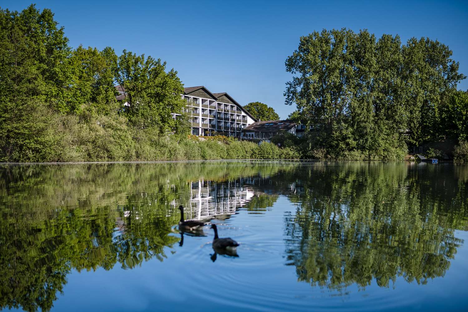 Best Western Premier Seehotel Krautkraemer 30/35
