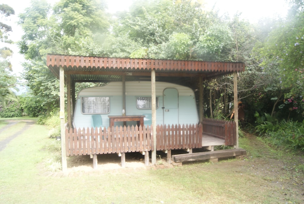 Homestead B & B 1/50