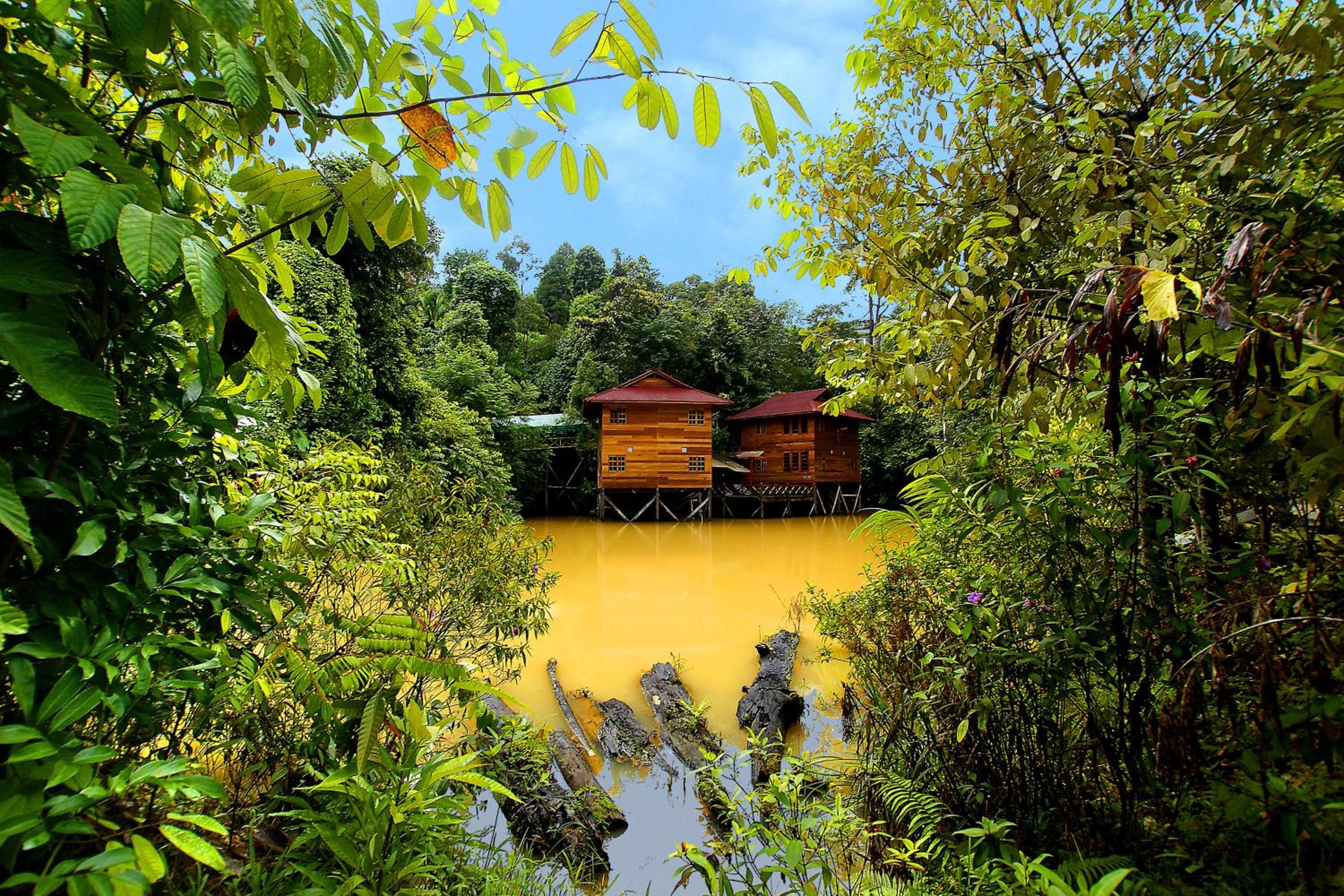 BORNEO TROPICAL RAINFOREST RESORT 51/55