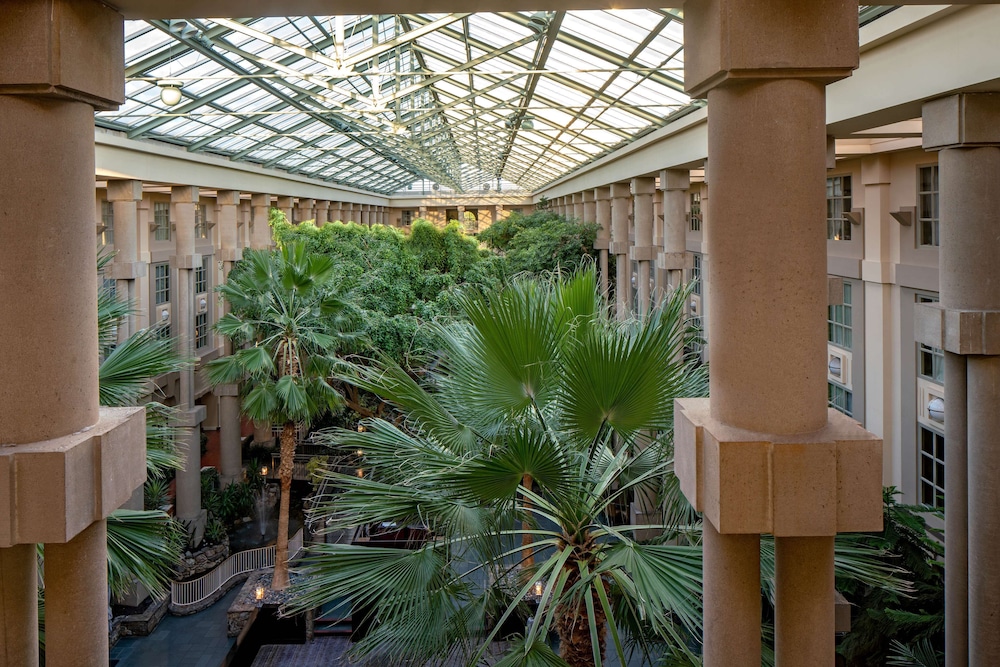 Hyatt Regency Greenwich 61/62