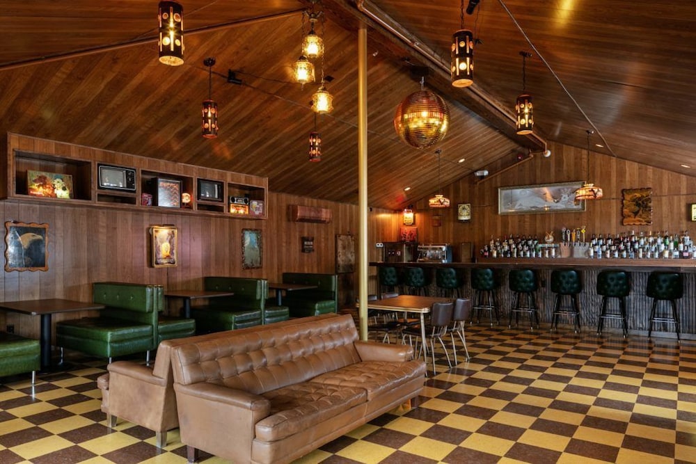 The Dive Motel & Swim Club 25/45