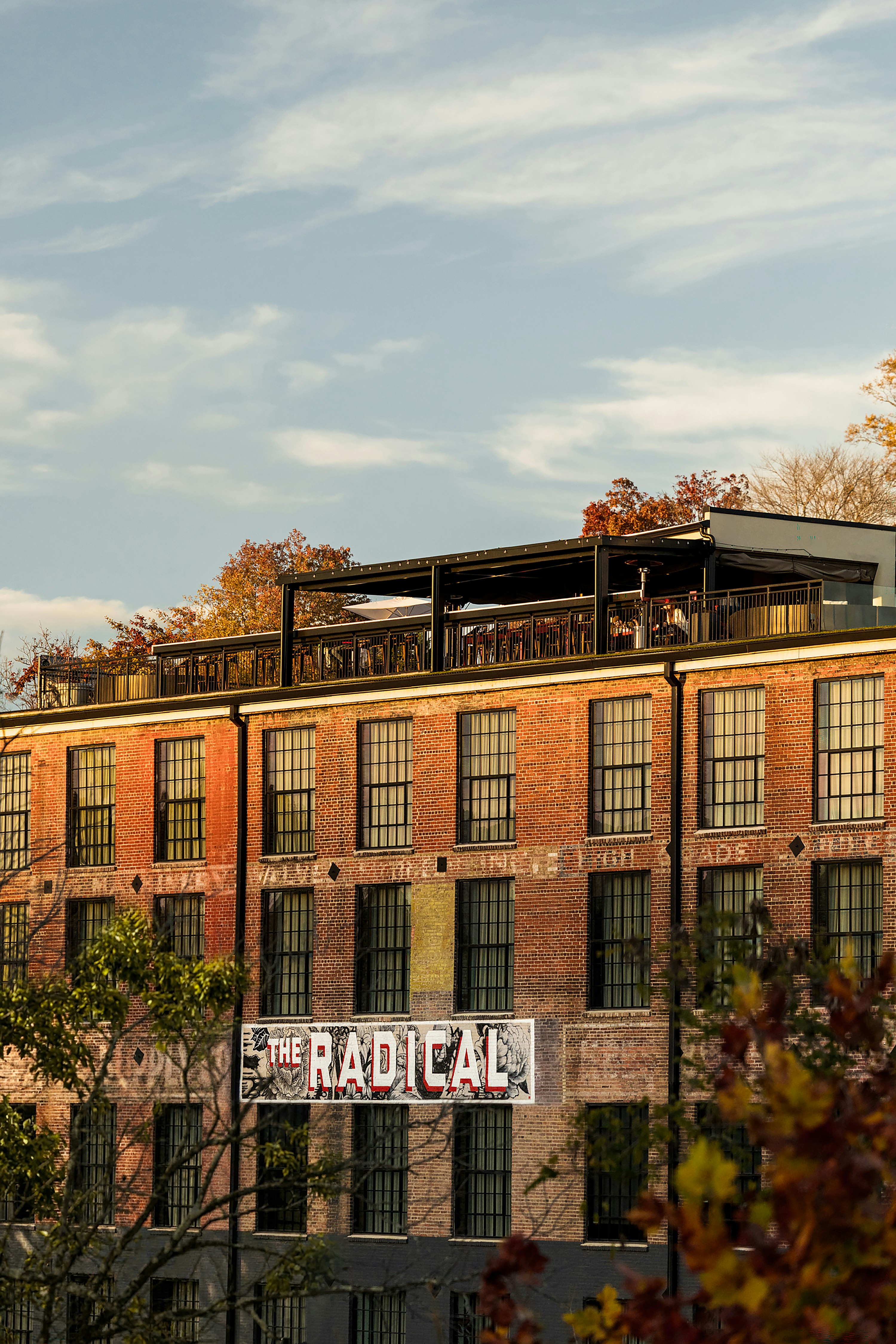 The Radical Asheville, Tapestry Collection by Hilton in ASHEVILLE - NC