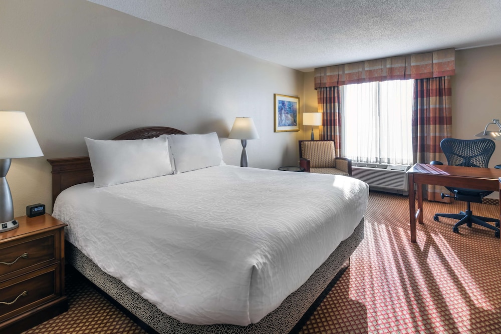 Hilton Garden Inn Denver Airport 15/53